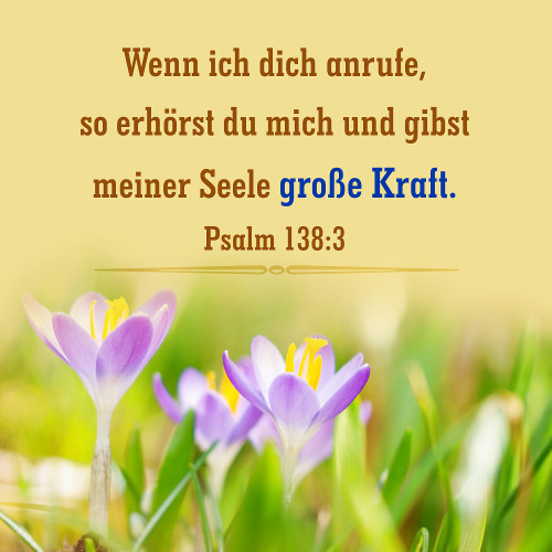 Biblische Bilder Sprueche 4,23