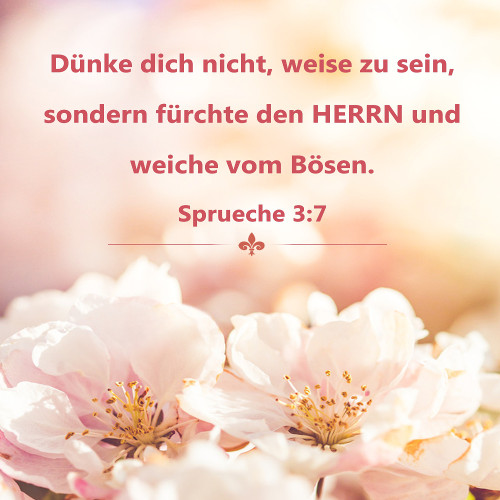 Biblische Bilder Sprueche 4,23