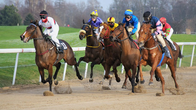 Reiten, Pferderennen